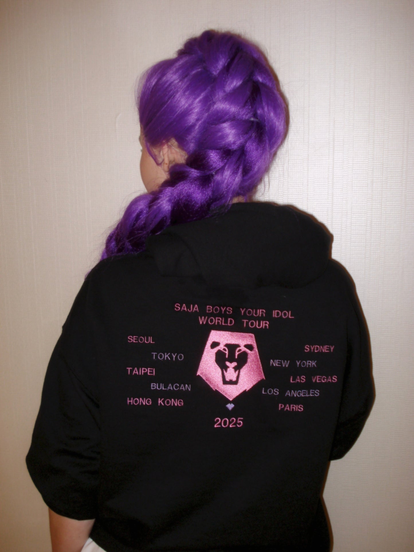 Your Idol world tour embroidered hoodie