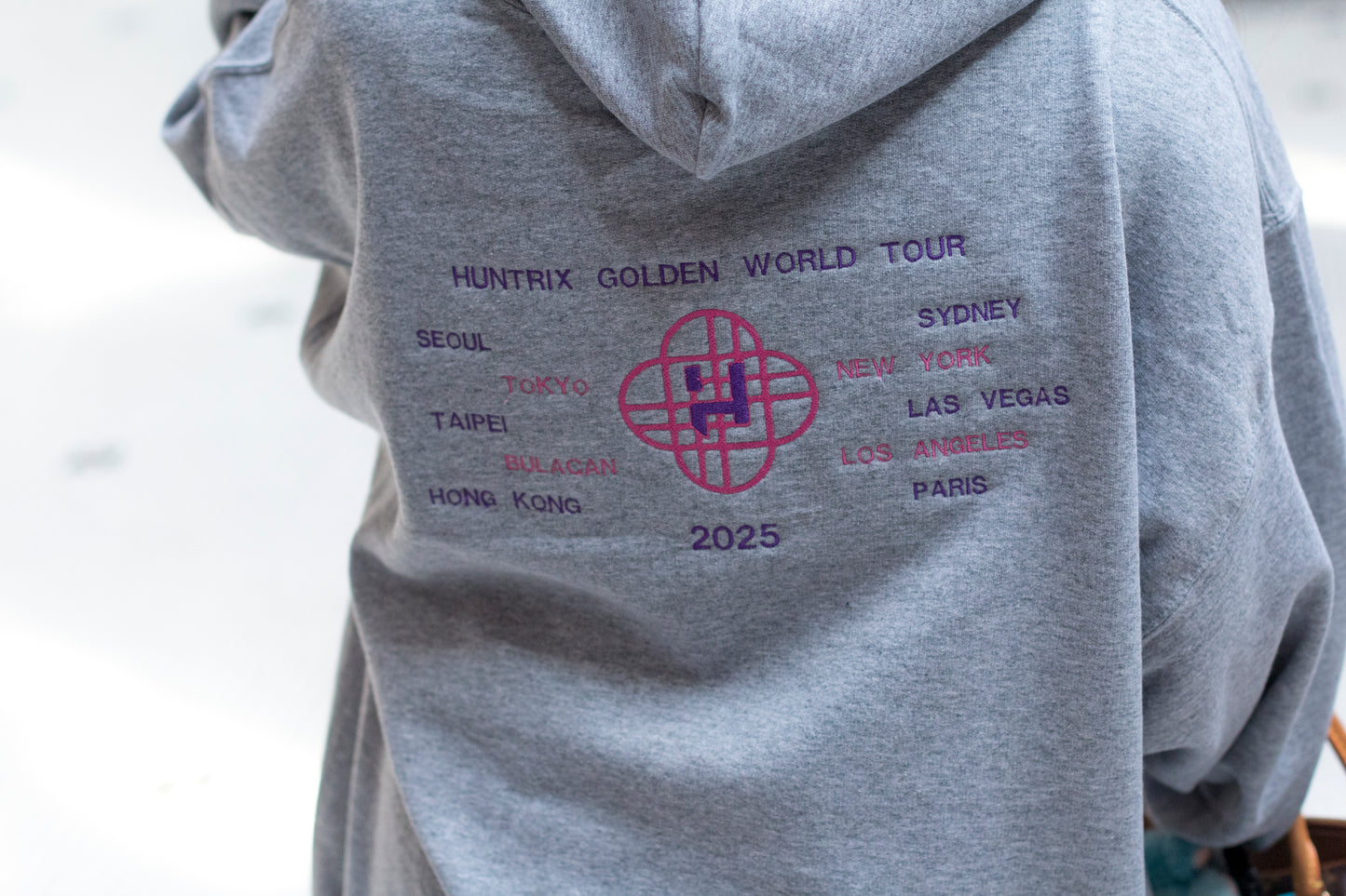 Golden world tour embroidered hoodie